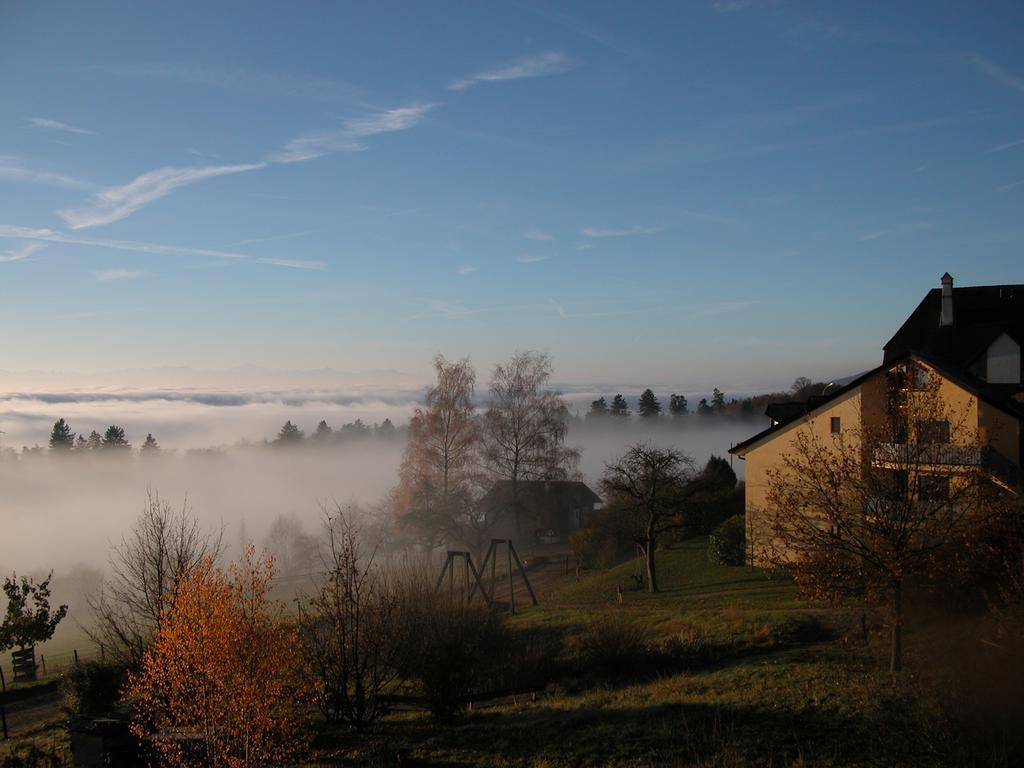 Ecohotel L'Aubier Montézillon Buitenkant foto