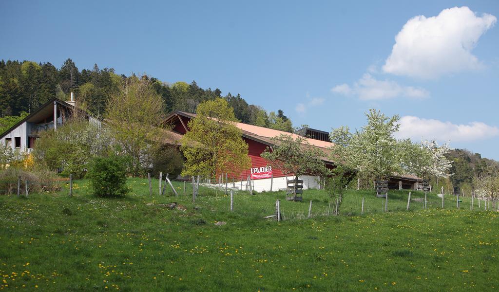 Ecohotel L'Aubier Montézillon Buitenkant foto